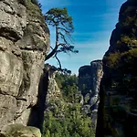 Siebenschlaefer Im Sandsteinidyll * Rathen