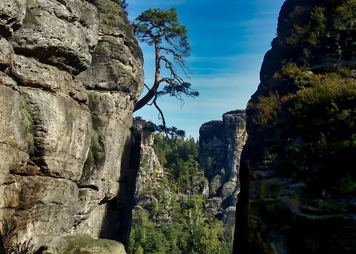 Siebenschlaefer Im Sandsteinidyll * Rathen