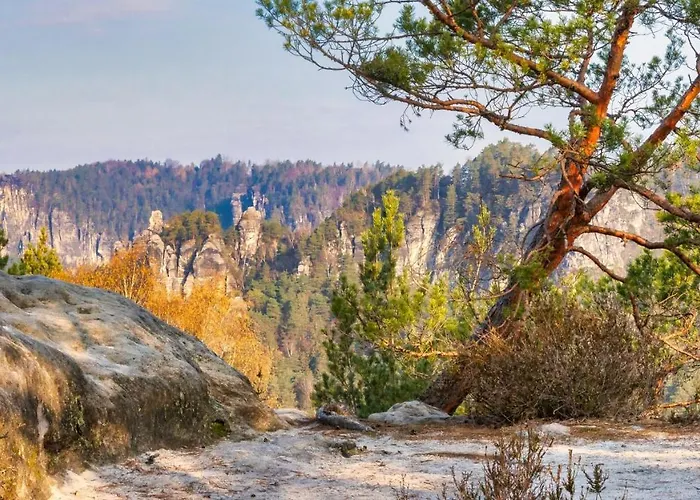 Siebenschlaefer Im Sandsteinidyll *